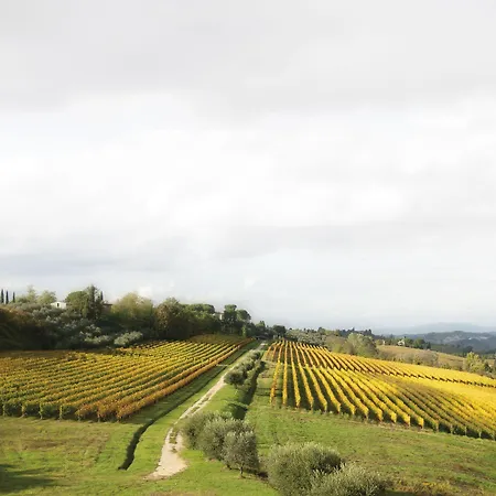 Poderi Arcangelo *