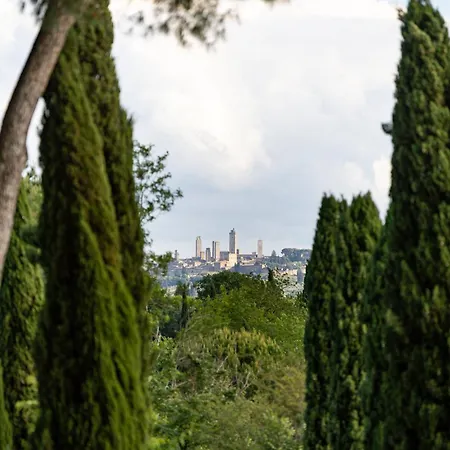 Poderi Arcangelo *