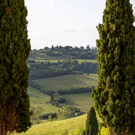 Poderi Arcangelo * San Gimignano